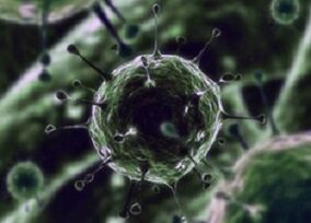 Microorganismos bacterianos como causa de prostatite